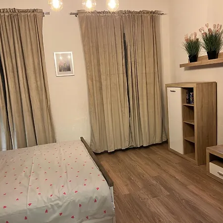 Gemuetliche Amt Apartament Plauen